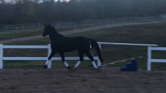 Bootstraps Bill Turner смотреть онлайн