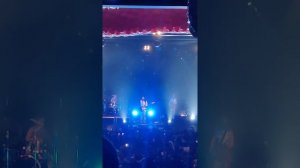 Дора Дорадура СПб 2022