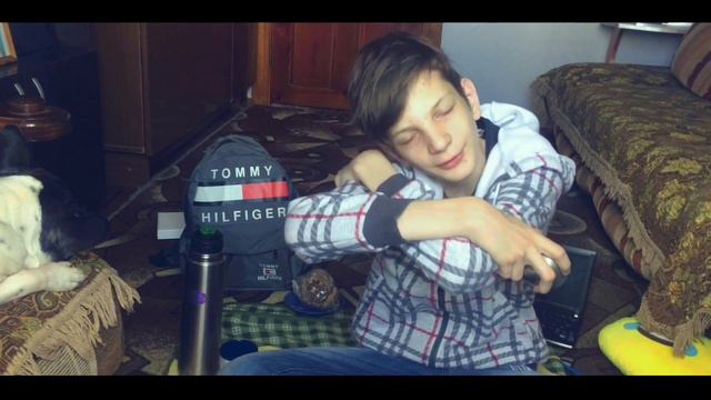 Моя собака нагадила на меня! Угарные истории #2 смотреть онлайн