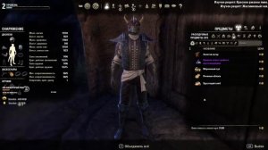 The Elder Scrolls Online | Воин? Вор? Маг?