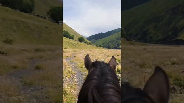 Песня про Борч смотреть онлайн