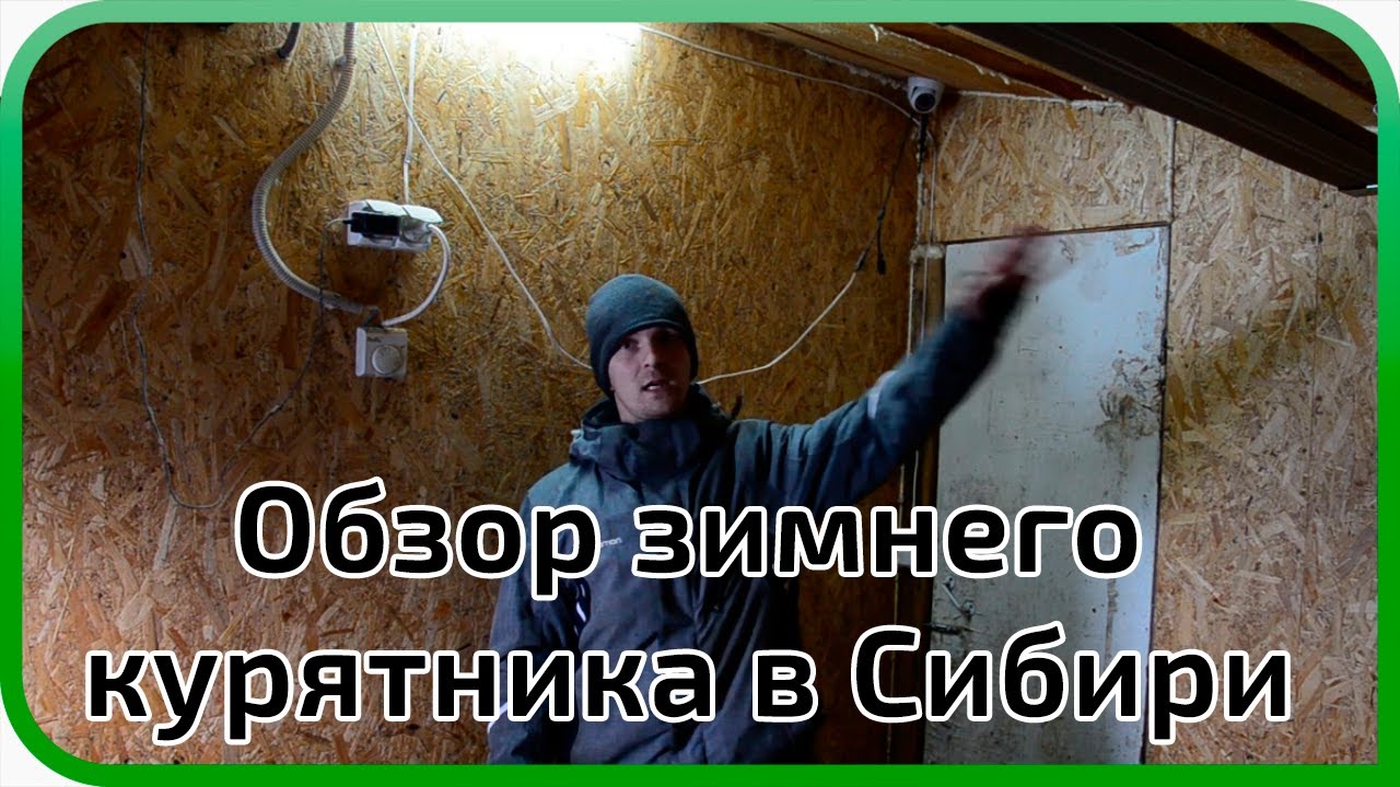 Зимний курятник в Сибири смотреть онлайн