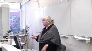 Черниговская Татьяна Владимировна интересная лекция "Язык и мозг"
