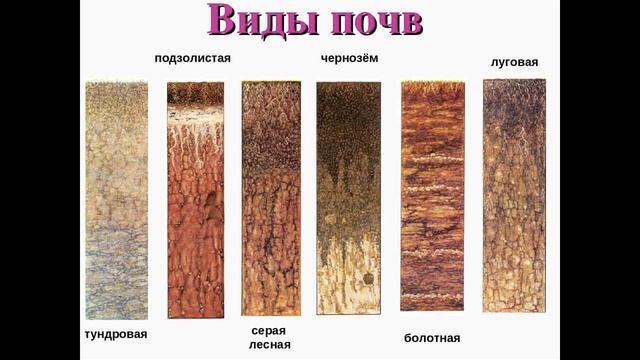 Окружающий мир 4 класс ч.1, тема урока "Земля кормилица", с.160-163, программа Школа России.