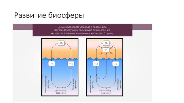 Схема круговорота углерода на древней земле