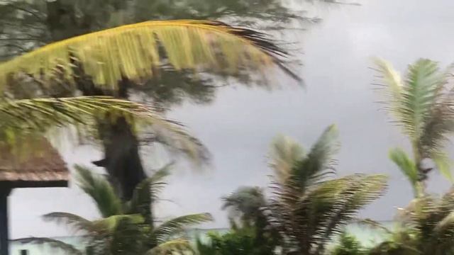 Страшная сила идёт на Дом смотреть онлайн