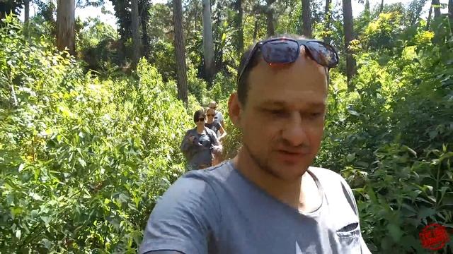 Едем в Эллу на байках смотреть девятиарочный мост.  Мотопутешествие по Шри-Ланке, часть первая.
