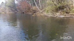 рыбалка на хариуса и ленка. бикин.  октябрь 22