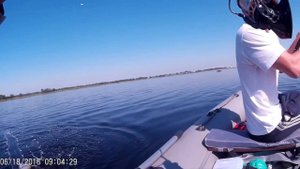 Рыбалка на курячем лимане на лодке Адмирал боат 375