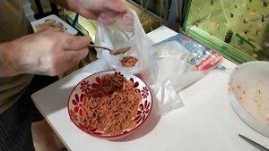 Кормление рыбок креветками!