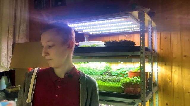 Нужна ли перекись водорода для микрозелени? Бизнес микрозелень! Избавляемся от плесени микрозелени! смотреть онлайн