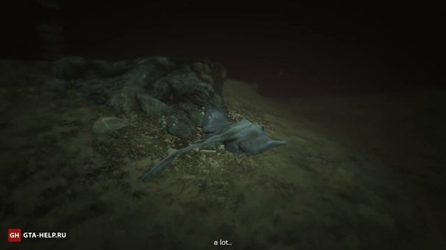 Кактус пейот 7 — GTA 5 смотреть онлайн