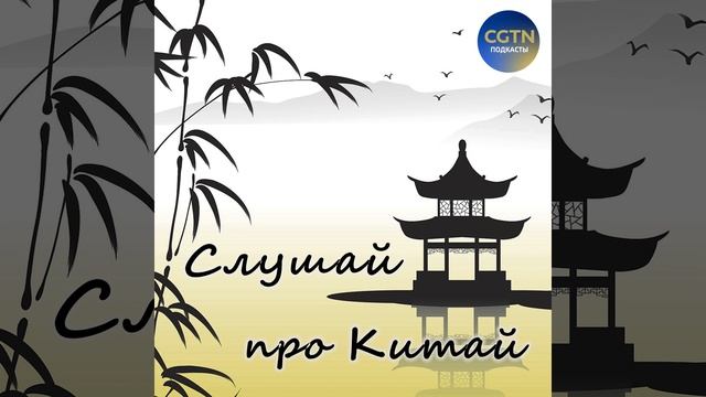 【10 лет инициативе "Пояс и путь"】Железная дорога Китай-Лаос смотреть онлайн