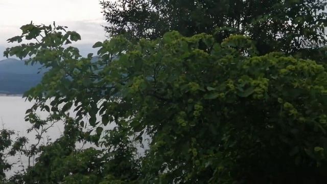 Геленджик#Кабардинка#Шикарное место