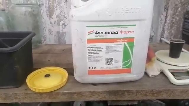 Уничтожаем пырей по клубнике гербицидом