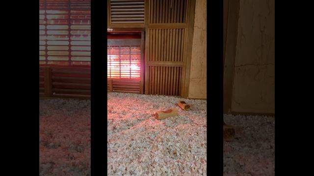 Баня, Южная Корея. Общественная баня в Южной Корее. Сауна в Южной Корее.#корея #한국  #kpop  #여행 #찜질방