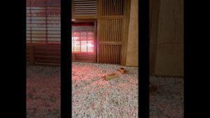 Баня, Южная Корея. Общественная баня в Южной Корее. Сауна в Южной Корее.#корея #한국  #kpop  #여행 #찜질방