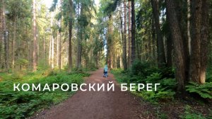 Экотропа Комаровский берег. Санкт-Петербург (лето)