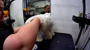 Комплексный уход.