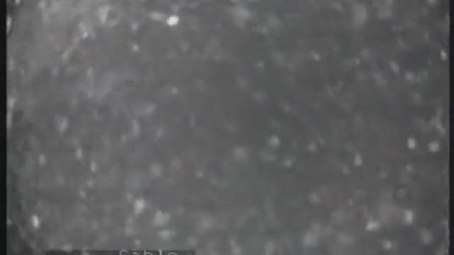 Рязанская обл.п.Сапожок.гл.скв.83,5м.