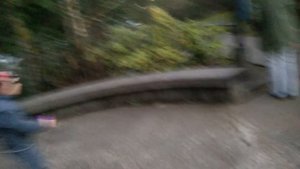 Водопад Сноквалми