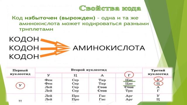 11 класс. Биология. Генетический код смотреть онлайн