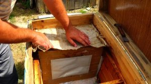 Безопасное ОБЪЕДИНЕНИЕ пчелиных семей, а также ОТВОДКОВ и РОЕВ. Корвалол, КАРТОН, скотч, дымарь!