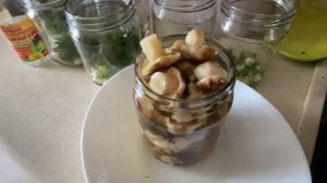 Маринуем Грибы.Рецепт засолки.Вкусные подтопольники.