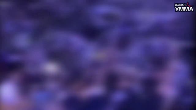 Ночные вечеринки на пляжах Джидды