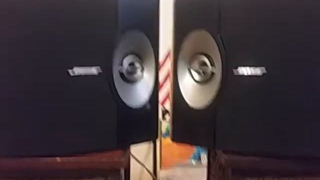 Bose 301 series v (5)