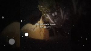 Аниме Джо Джо. Слишком много смысла