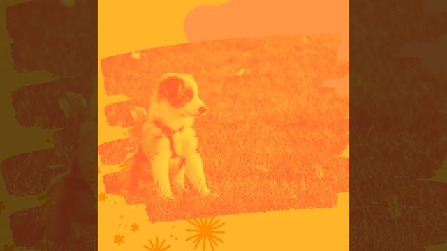 Музыка (Созерцая) смотреть онлайн