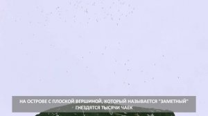Бухта Тихая на Сахалине зимой - необычные виды достопримечательности острова