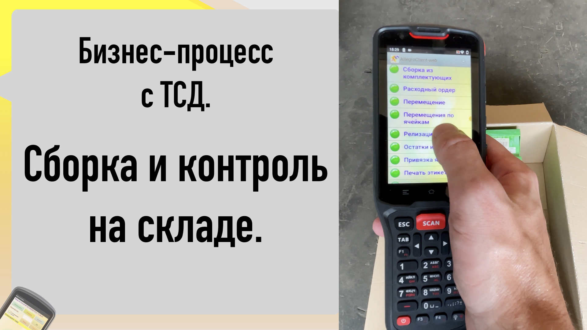 Складской бизнес-процесс "Cборка и проверка Заказа на ТСД"