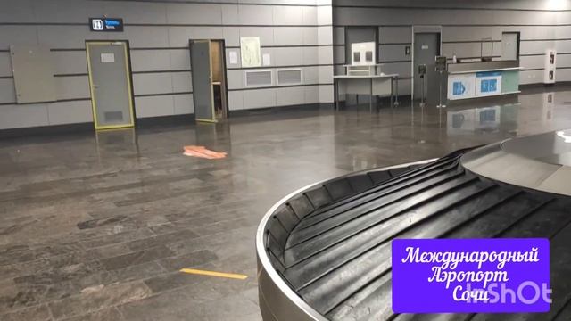 С Божией Помощью: Прибытие в Сочи рейсом 1594/Аэропорт Сочи, зал прилета 23 июня 2021 смотреть онлайн