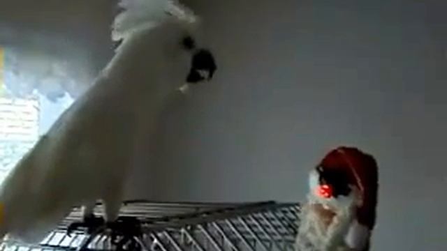 Майкл и Санта смотреть онлайн