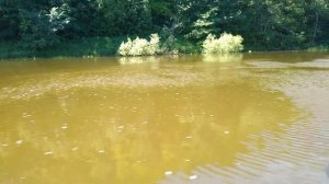 HDX-9.8 и RB- 370 отличный комплект для троих!