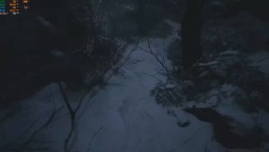 resident evil village rx 580 8gb 2048sp intel core i5 6600k