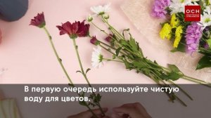 Как сохранить букет в вазе как можно дольше свежим?