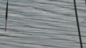 Рыбалка на осеннего КАРАСЯ. СИНЕЕ ТЕСТО СРАБОТАЛО. Боремся с мелкой рыбой.