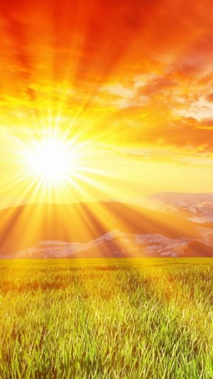 Доброе утро!!! Такая нежность и красота в этом видео!!! Мирного неба!!! Храни вас Бог!!!