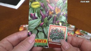 Лучшие сорта острого перца