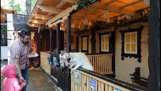 Поход в контактный зоопарк) смотреть онлайн