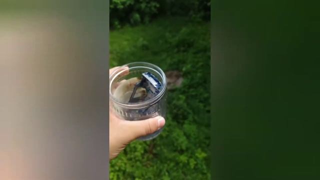 Как снять краску с масштабной модели смотреть онлайн