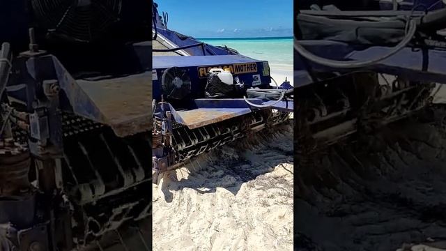 Куба. Как убирают пляж от водорослей. Кайо Коко. Куба за 57 тысяч рублей с перелетом. @tutsi-dieti