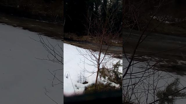 НАМЕЧЕНА СТРОЙКА смотреть онлайн