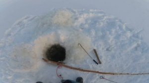 Налим есть! Река Вилюй! Якутия! FULL HD! Новинка!12/12/21