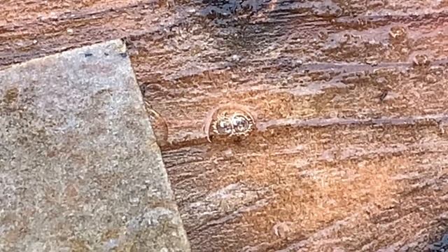 EDC Journeys into Steel - EP 2 - D2 Tool Steel (part 1/2) смотреть онлайн