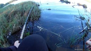 Весенняя ловля крупного ротана. Рыбалка на озере 2018