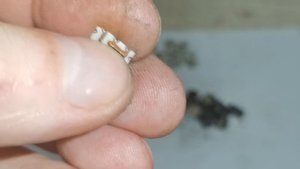 Золото, Палладий из микромодульных линий задержки (аффинаж)